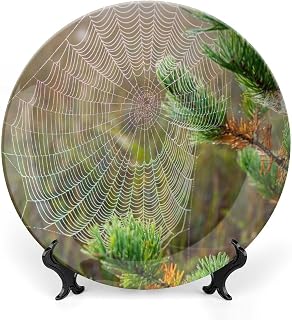 Cobweb Habitat Web Spider Decorative Hanging Plate Home Office Decor Accent Souvenir Kitchen Ceramic Dinner Household Plates with Display Stand Wedding Collection Dish 7"