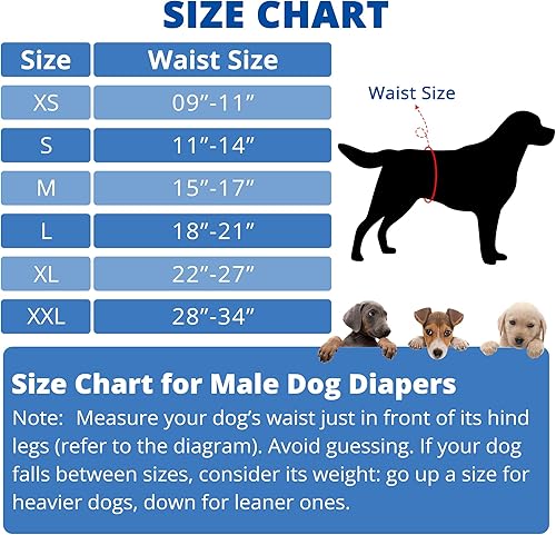 Miniatura 4 de Paw Legend - Pañales lavables para perro macho 3 unidades