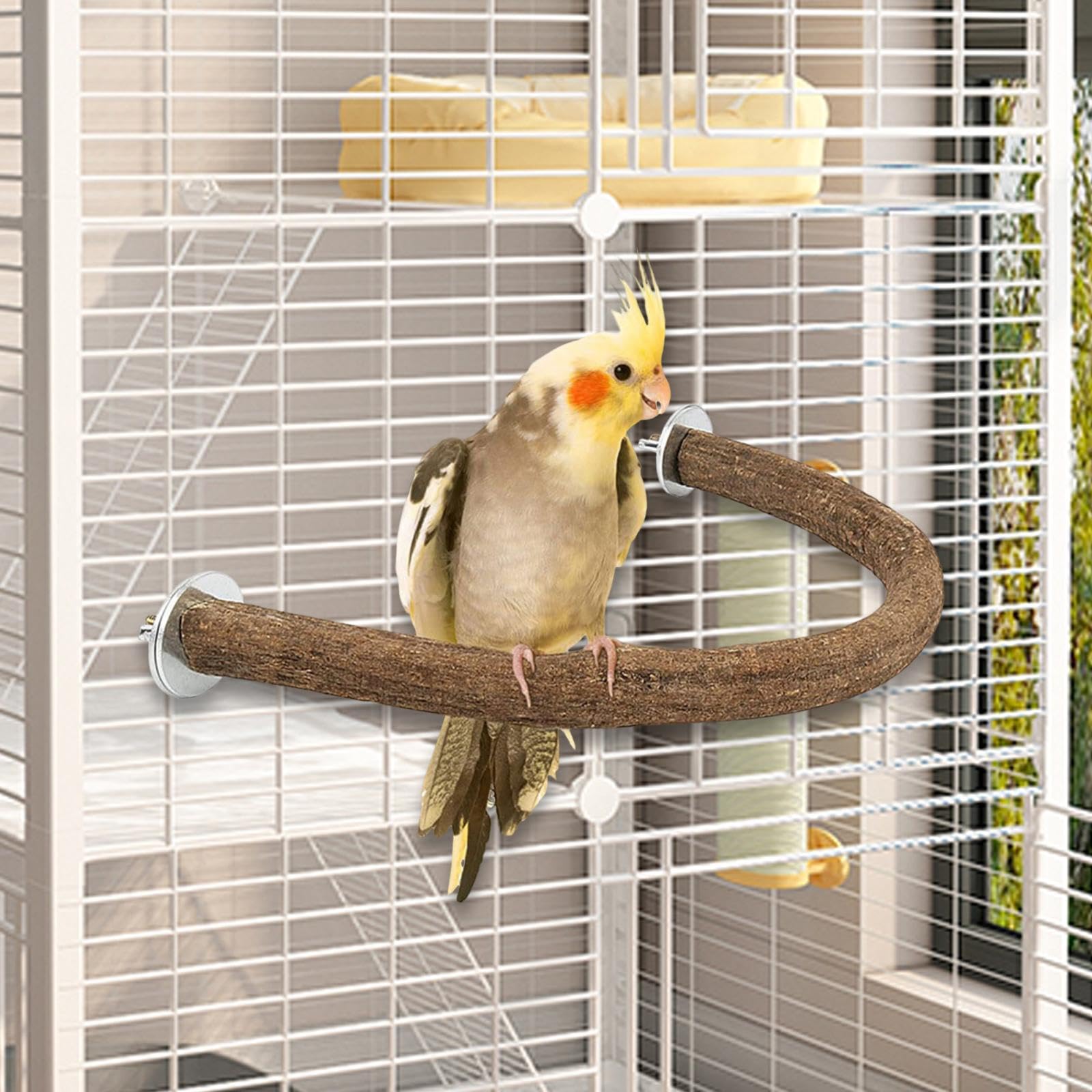 木製小型鳥用多機能スタンド*8 Amazon | Toysmith オウム用鳥スタンド、教育用スタンドおもちゃ