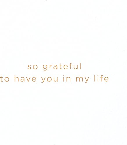 Miniatura 3 de Papyrus Tarjeta de amistad (Grateful to Have You)