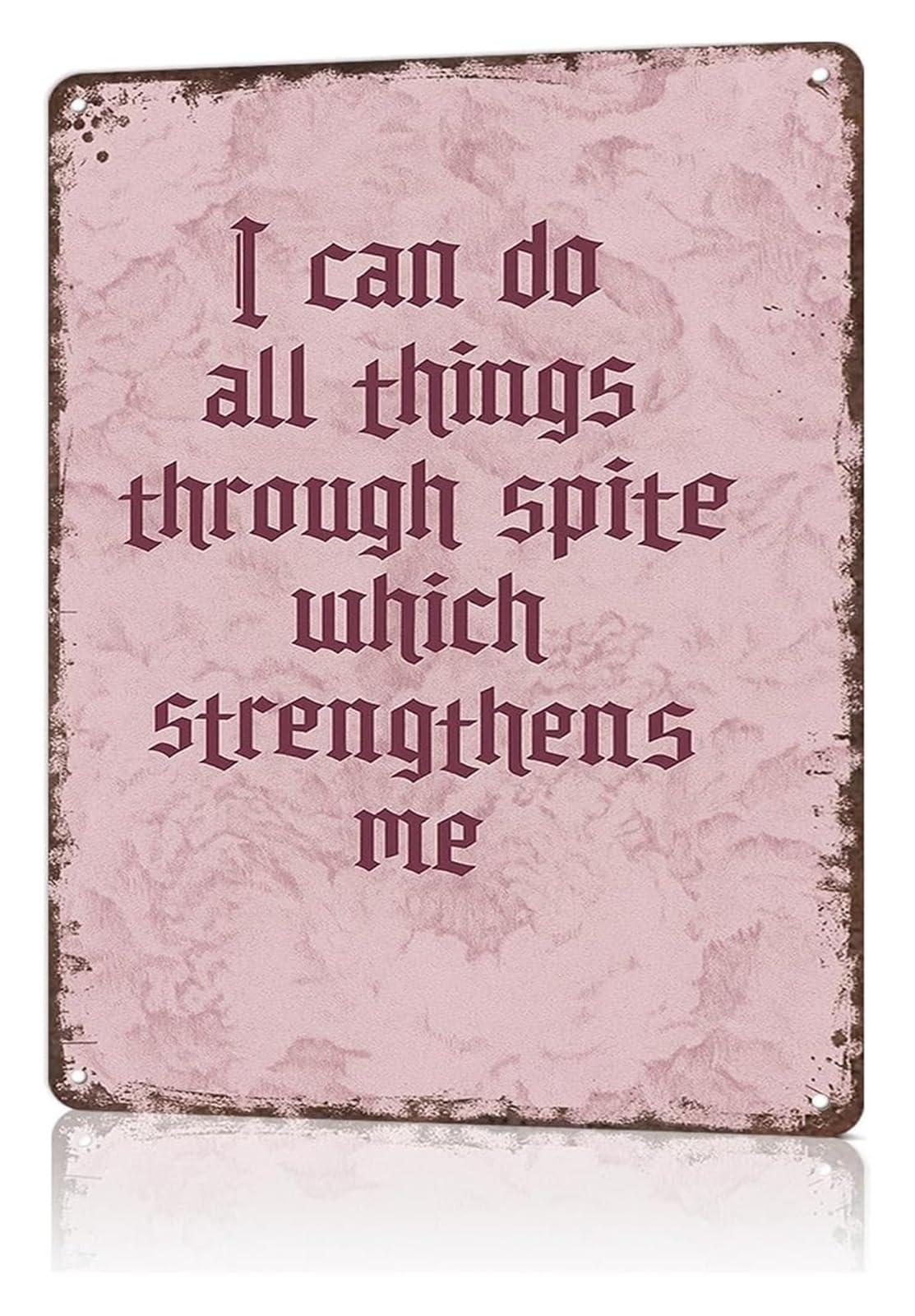 ZDVHOMCB Witty I Can Do All Things Through Spite Which Strengthens Me Tin Plate Novelty Sign for Garage Man Cave Pub Lounge 8 X 12 in