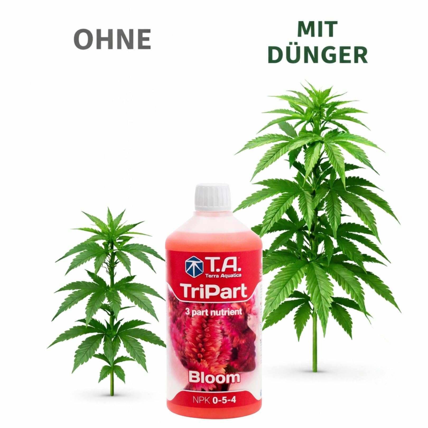 Weedness GHE FloraBloom Blütephase 5 Liter - Grow Dünger Naturdünger NPK Bio Tomaten Gurken Flüssigdünger Organischer