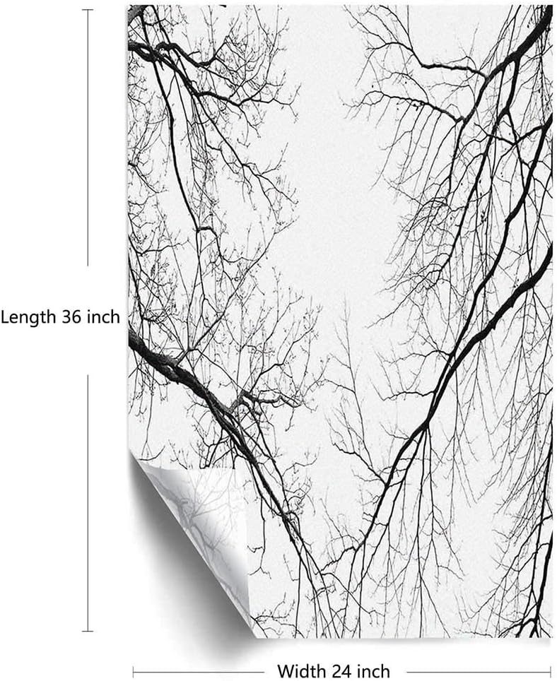 Forest Window Film Decorative Window Film,Trees Branches Leafless Spooky Scary Image in a Gloomy Air Sky Scene Image Door Privacy Film for Bathroom Kitchen Room Office,Black and White,24x36 inch