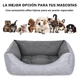Ver la foto 6