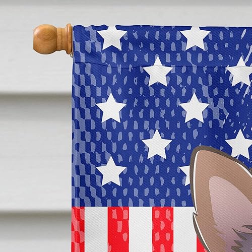 Vista 370 de Caroline's Treasures BB2171GF American Flag and Border Collie Garden Flag Mailbox Flag Decorative Yard Flag Banner Outside Patio Artwork Yard Flower
