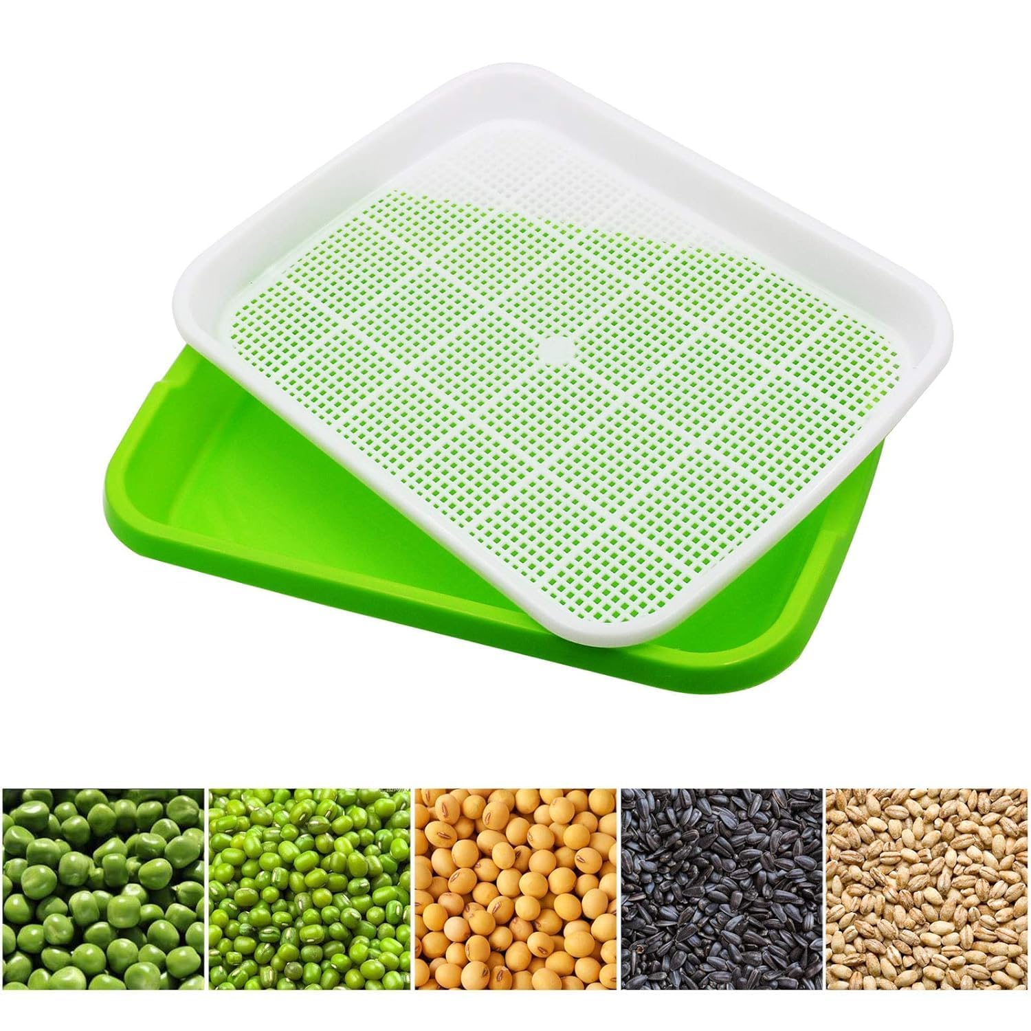 Seed Sprouter Tray Without Lid Microgreens Growing Trays Sprouts Growing Kit Propagation Trays Healthy Wheatgrass Grower Storage Sprouting Tray for Garden Home Office (1PCS)-picture-19