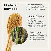 Vista 3 de Lindo Cepillo seco – para cepillado húmedo o seco, limpiador de espalda de ducha, cerdas suaves, mango de madera largo natural, exfoliante, masaje