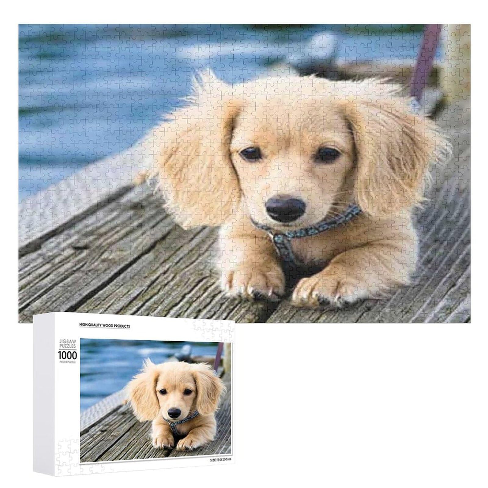 Jigsaw Puzzles Dog Dachshund Puppy Animal 1000 Pieces Jigsaw Puzzle Challenging and Stimulating Puzzle Game Wall Art Unique Gift