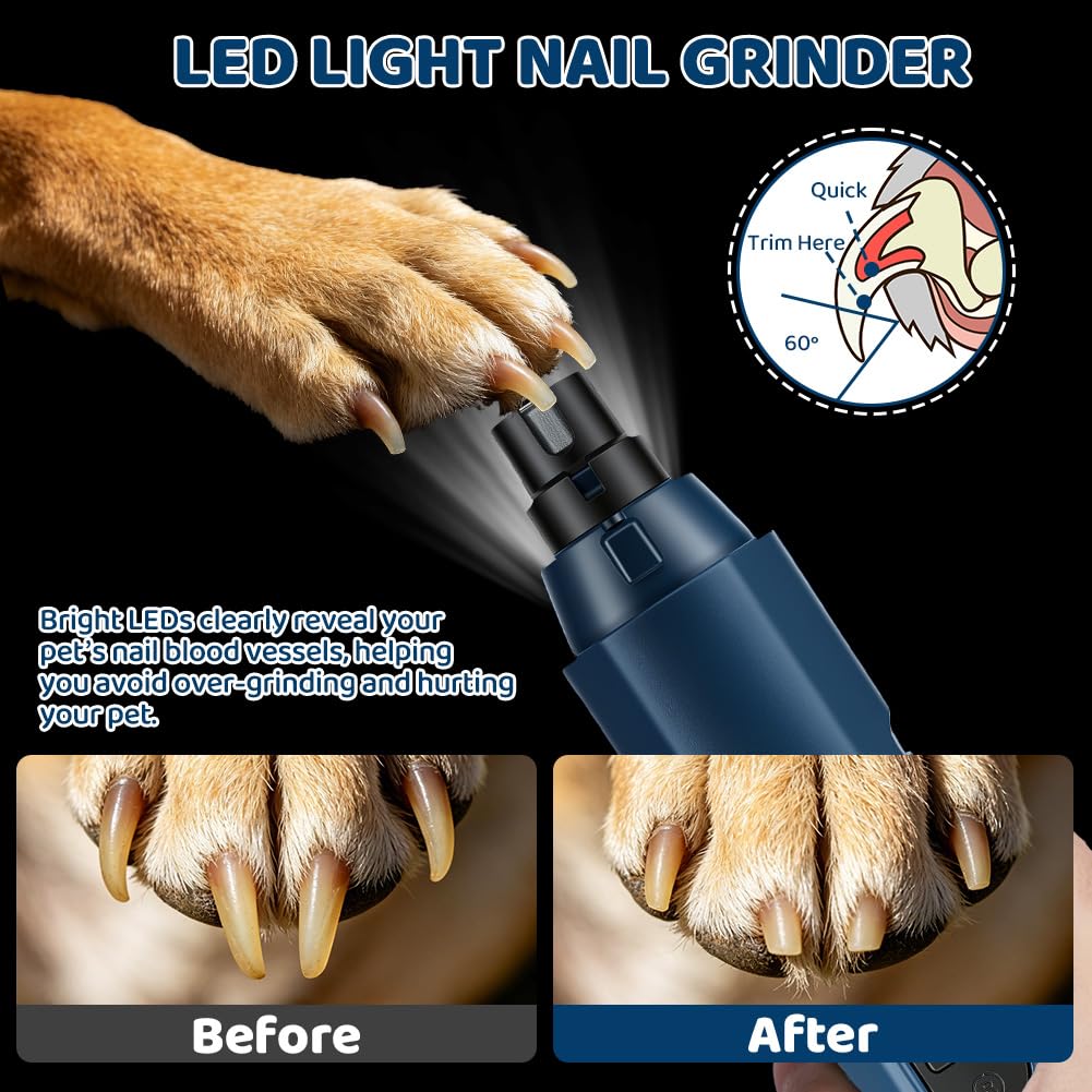 Aolso Lime à Ongles pour Chien et Chat, Rechargeable Broyeur à Ongles pour Chien, 45 décibels Super Silencieux, 5 Vitesses, idéal pour Les Petits et Grands Animaux de Compagnie (Bleu)
