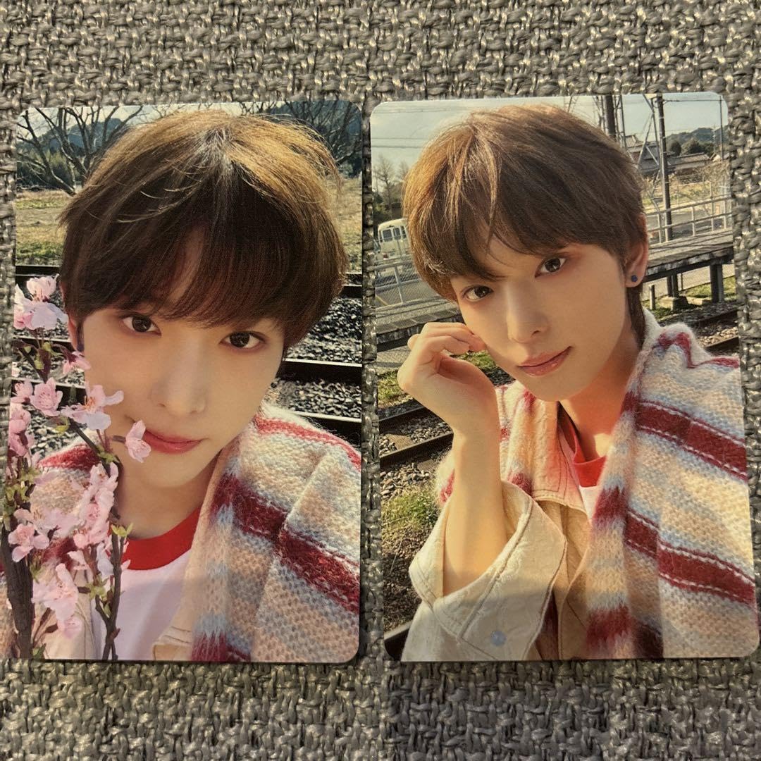 u0026TEAM HARUAハルア トレカ 五月雨 青嵐 十五夜 雪明かり コンプ