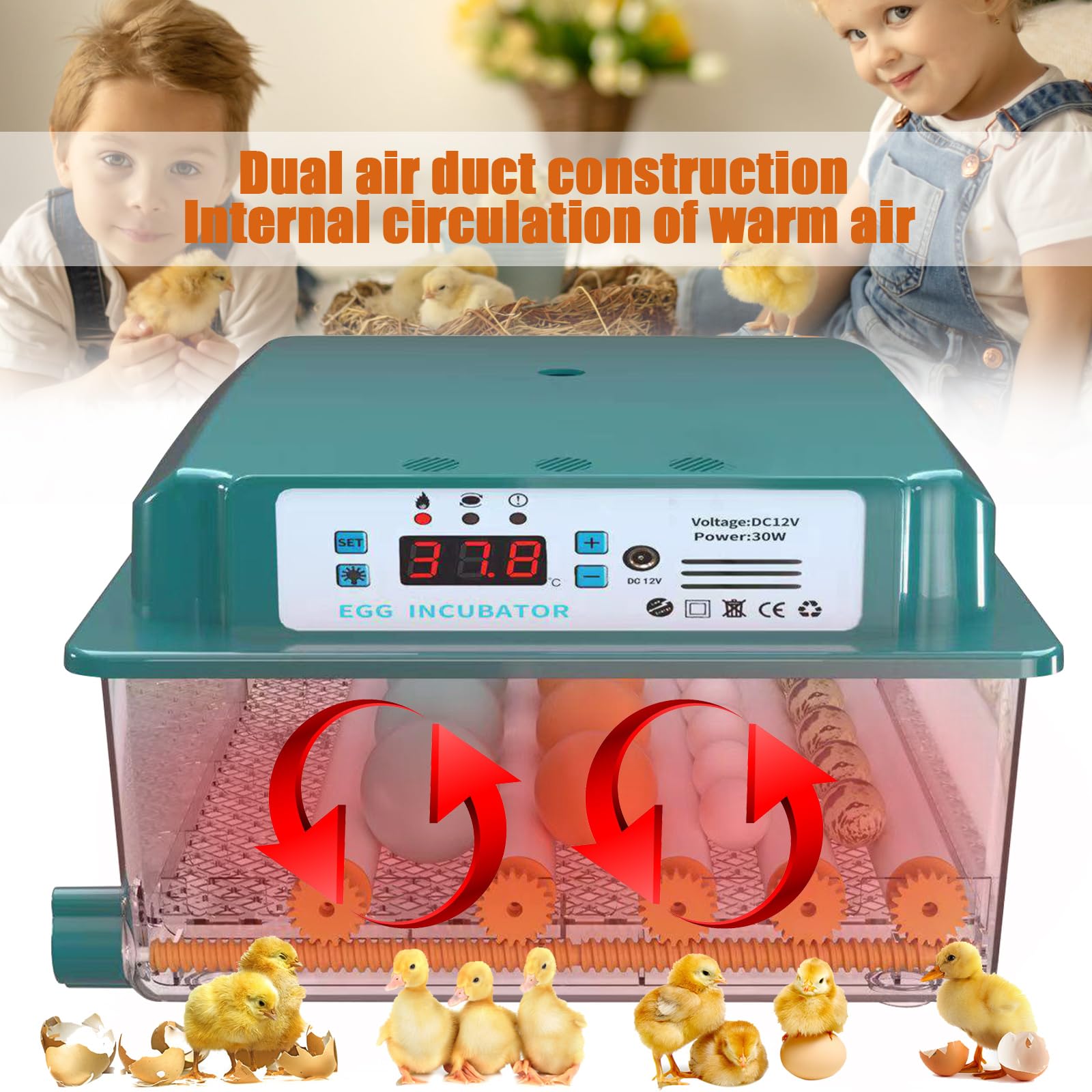 Incubatrice per Uova Automatica Incubatrice per 16 Uova Gallina Controllo Automatico della Temperatura Giratura Automatica delle Uova Design Elettrico Doppio (UK plug)