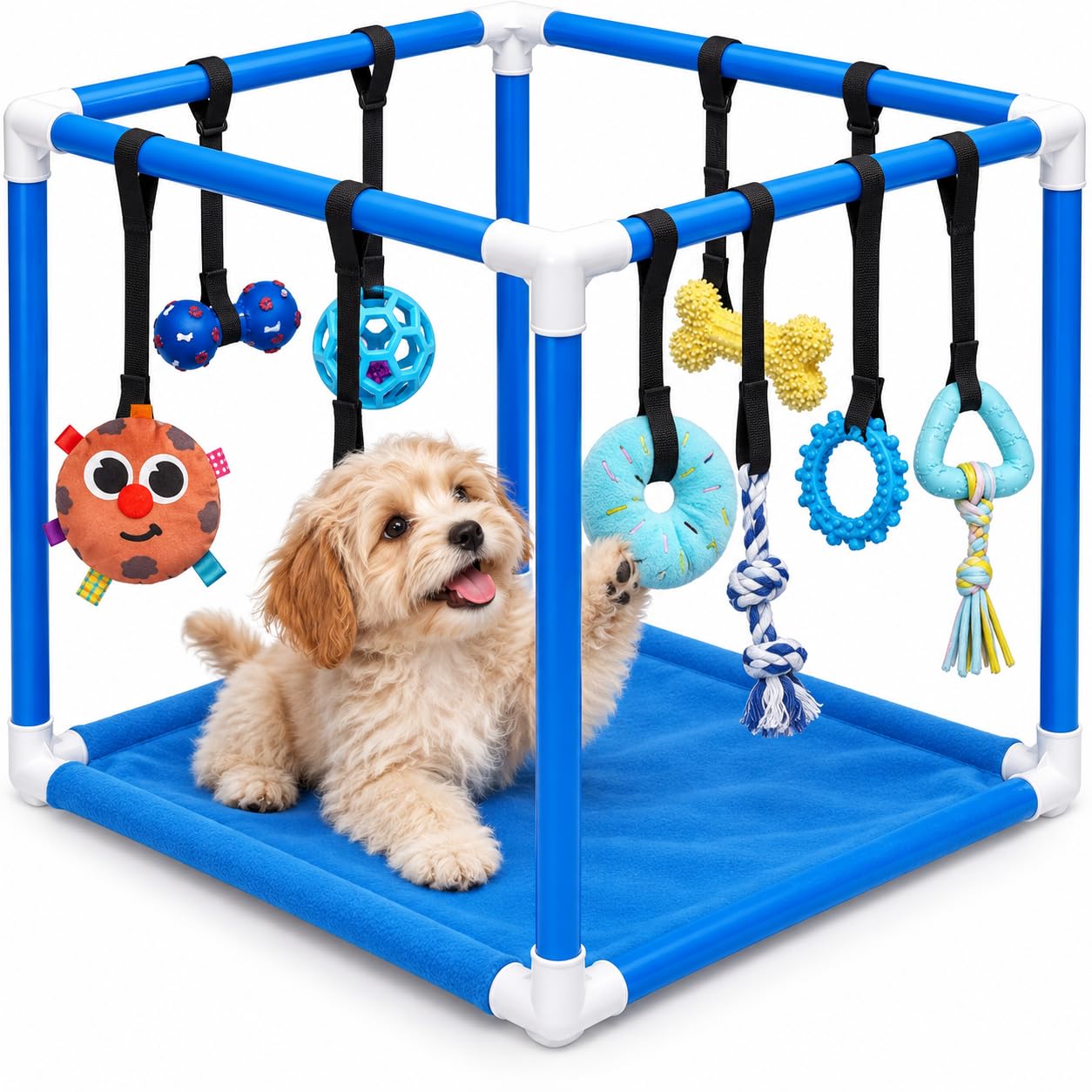 Race&Herd Puppy Play Gym, Dog Play Mat, 8 Bungee Straps Interactive Puppy Active Toys - Small Dog Jungle Gym 19.5" Frame with Playground Set Indoor Enrichment Activity Center (Ocean)