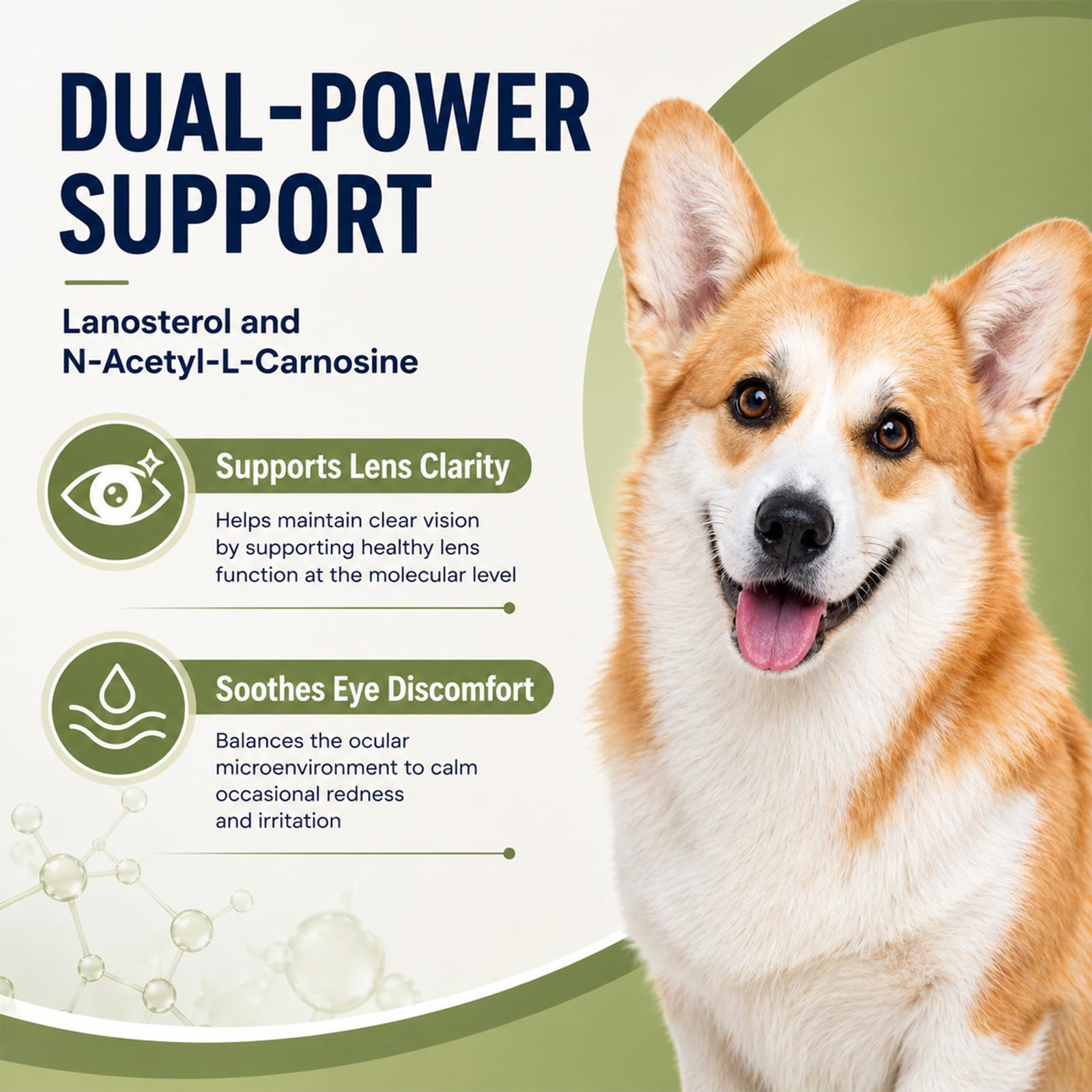 Dog Cataract Eye Drops for Dogs & Cats, Hydrating Pet Eye Wash & Lubricating Drops for Cloudy, Dry, Itchy & Watery Eyes, Not for Human, Gentle Daily Eye Care for Tear Stain Cleaning Support, 30 mL — Amazon image 2
