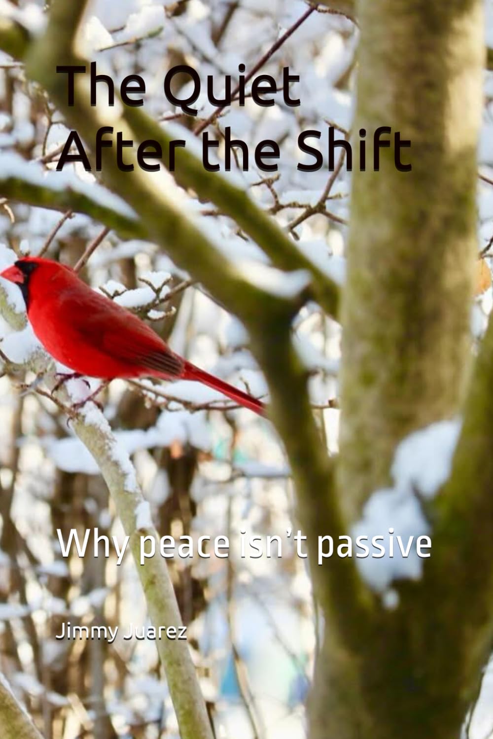 The Quiet After the Shift: Why peace isn’t passive