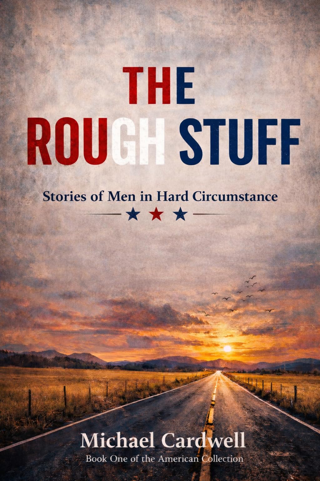 The Rough Stuff: Stories of Men in Hard Circumstance