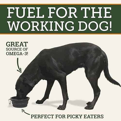 Miniatura 3 de DogBone Aceite de pescado Omega 3 para perros – Suplemento EPA + DHA para cadera y articulaciones, corazón y piel – ácidos grasos Omega 6 – Ayuda a