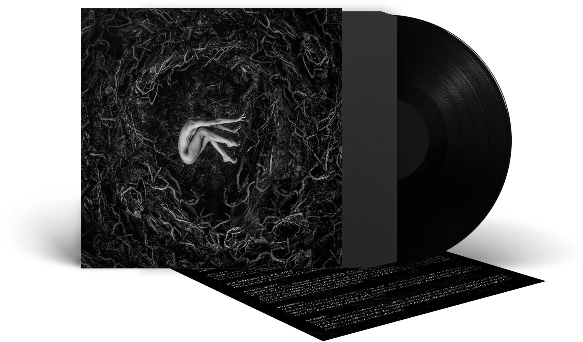 Let The Earth Be Silent [VINYL]