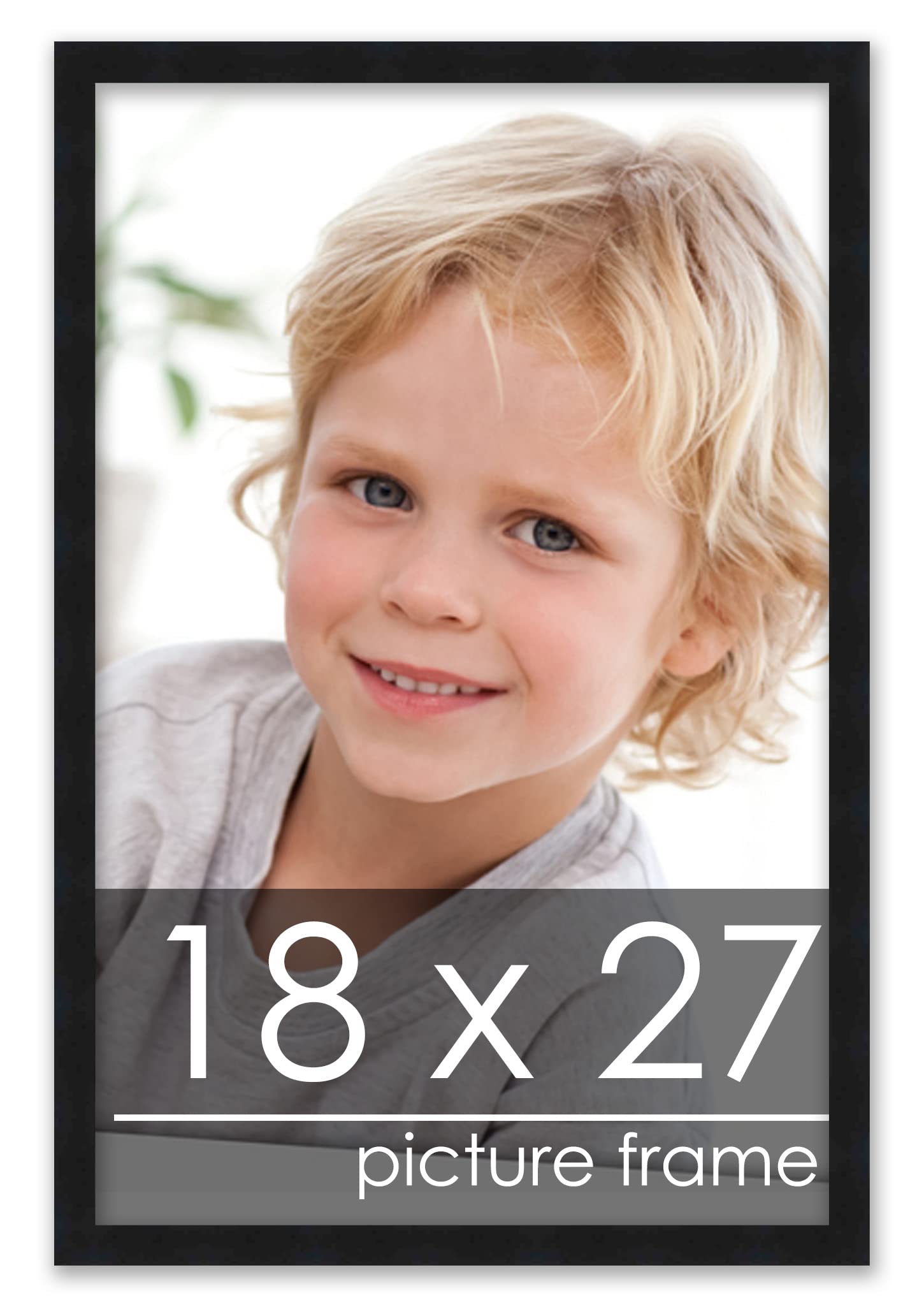 Poster Palooza 18x27 Frame Black