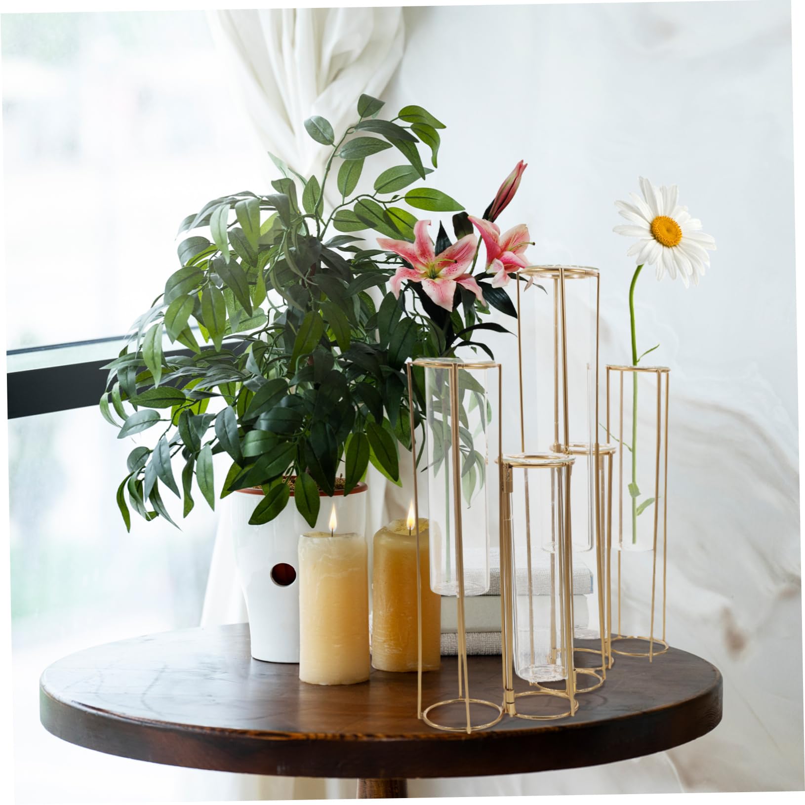 Ciieeo Vase Hydroponique Verre Support pour Plantes avec Cadre Métallique Tubes De Propagation pour pour Maison Et Bureau