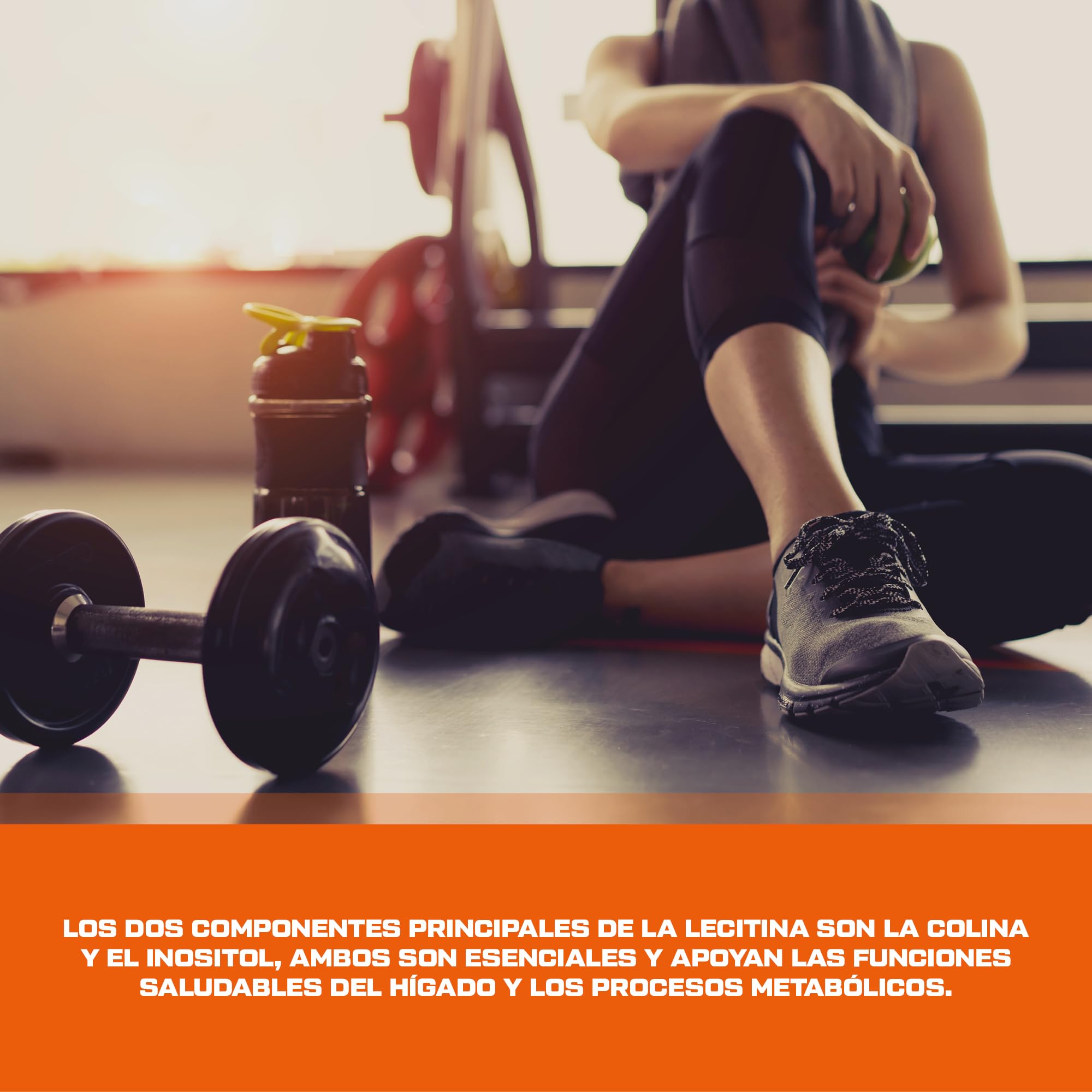 Scitec Nutrition Lecithin | Lecitina de aceite de soja | 1200 mg de lecitina al día | Envase de 100 dosis, 100 cápsulas de gelatina blanda