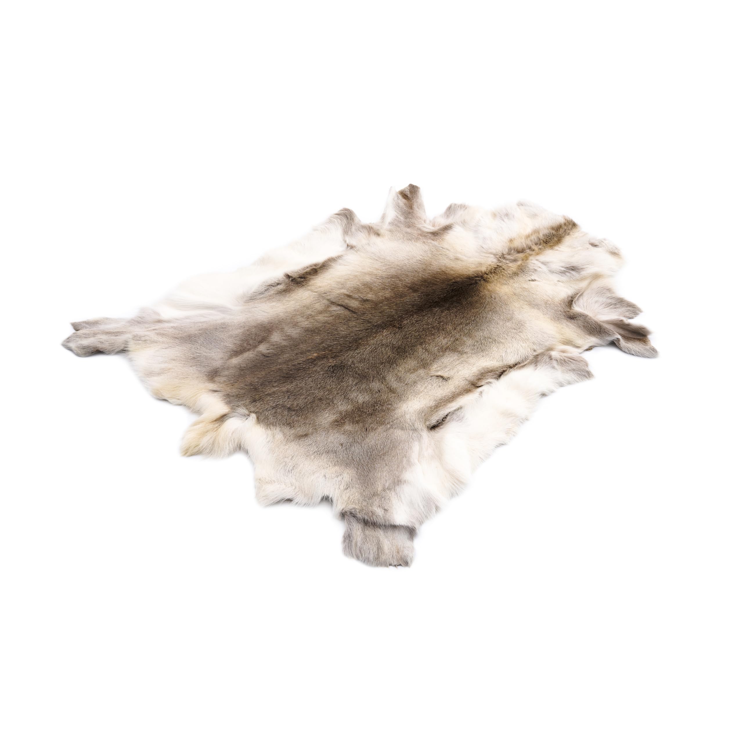 Peau de renne de Finlande de qualité supérieure - 120-130 cm - Blanc/gris