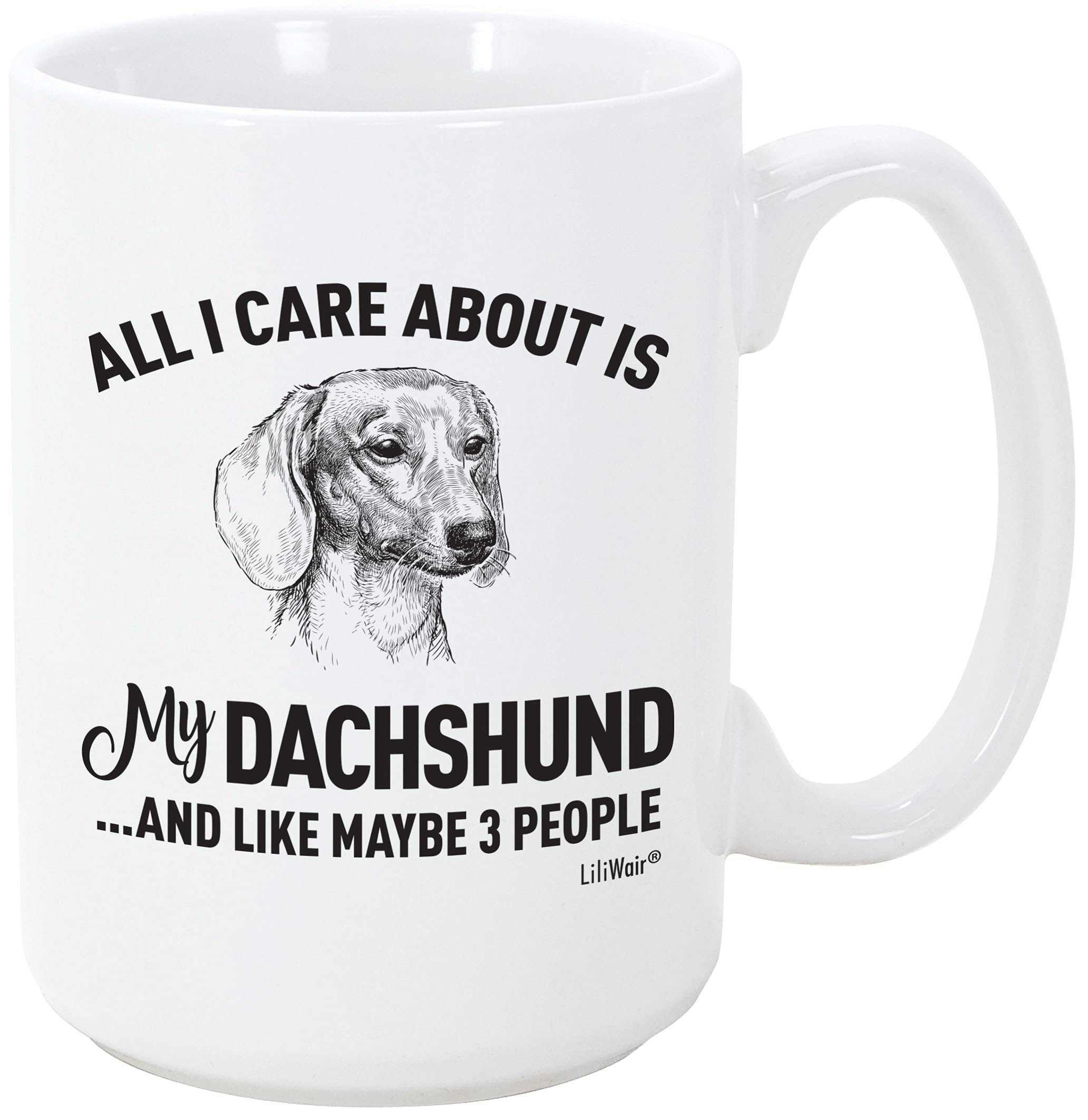 Dachshund Mom Gifts Mug For Christmas Women Men Dad Decor Lover Decorations Stuff I Love Dachshund Coffee Accessories