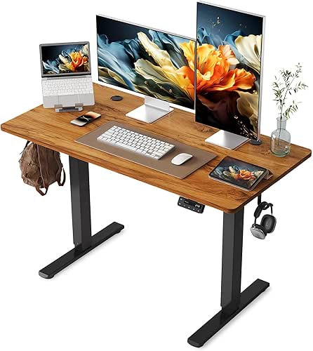 YIHAYO Electric Standing Desk, 48 x 24 Inches Stand Up