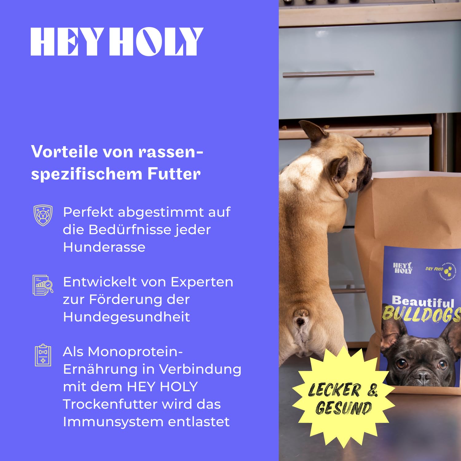 HEY HOLY Premium Hundeleckerlis für Bulldogen 100% getreidefrei | Hunde Snacks | 6 x 200 g Leckerli für ausgewachsene Bulldogen mit Lachs | Hochverträglich aus natürlichen Zutaten