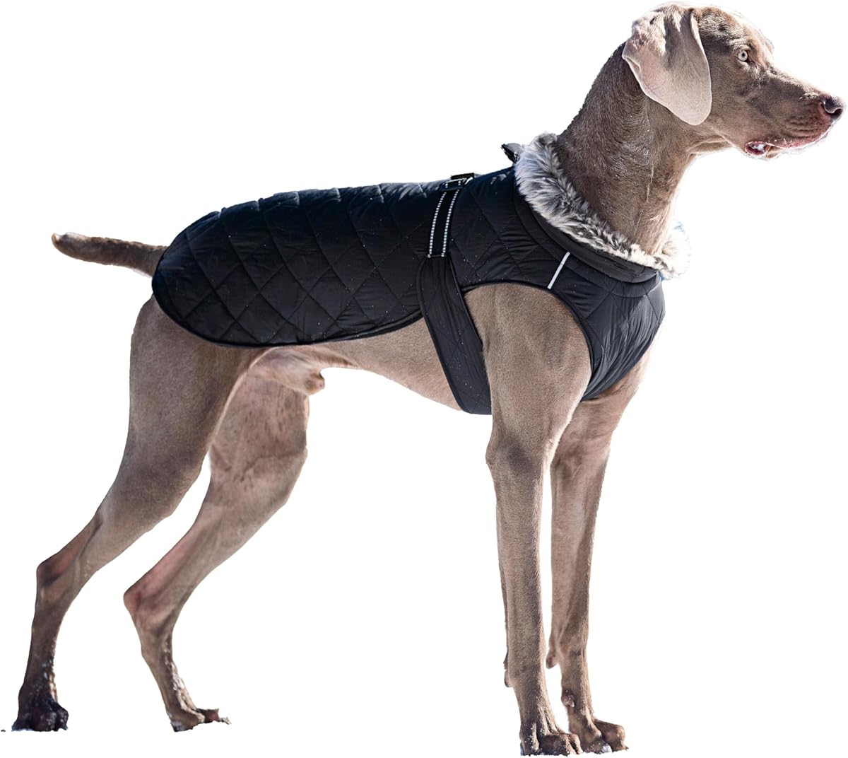 Dog Snow Jacket XL, Waterproof Fleece Lined Warm Dog Coats, Cold Weather Puppy Puffer Jacket for Large Breeds, Adjustable Fit Leash Hole Reflective Strips for Camping Snow Black