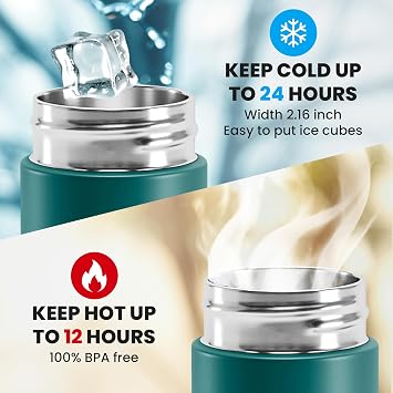 Tea & Fruit Infuser Water Bottle + Strainer + BPA-Free Fruit Insert | Vacuum Insulated 450ml Stainless Steel Flask | Portable Tea & Coffee Tumbler: Office, Outdoor, School, Sports, Bike - Teal