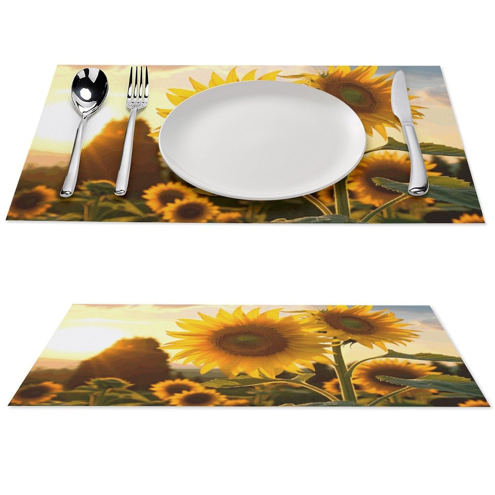 Sets de table en PVC pour repas de fête et dîners en extérieur en famille