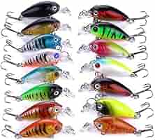 Amazon.com : Fishing Lures 1.77in/0.14oz Mini Hard Bait