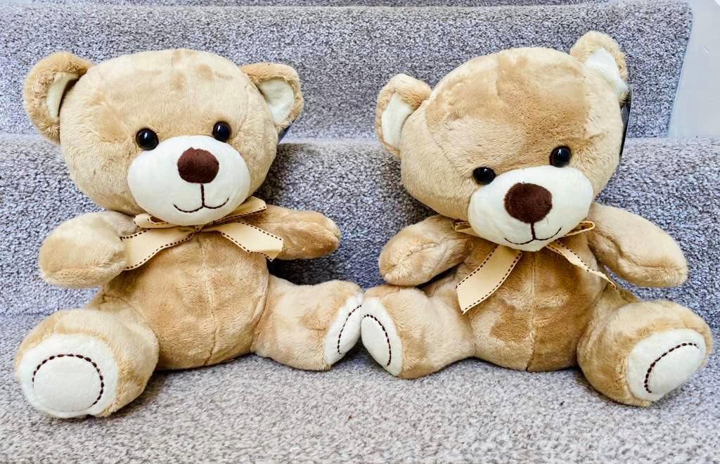 Traditional Teddy Bear Supersoft Plush Toy 23 Cm H 23 Cm X L 23 Cm traditional-teddy-bear-supersoft-plush-toy-23-cm-h-23-cm-x-l-23-cm