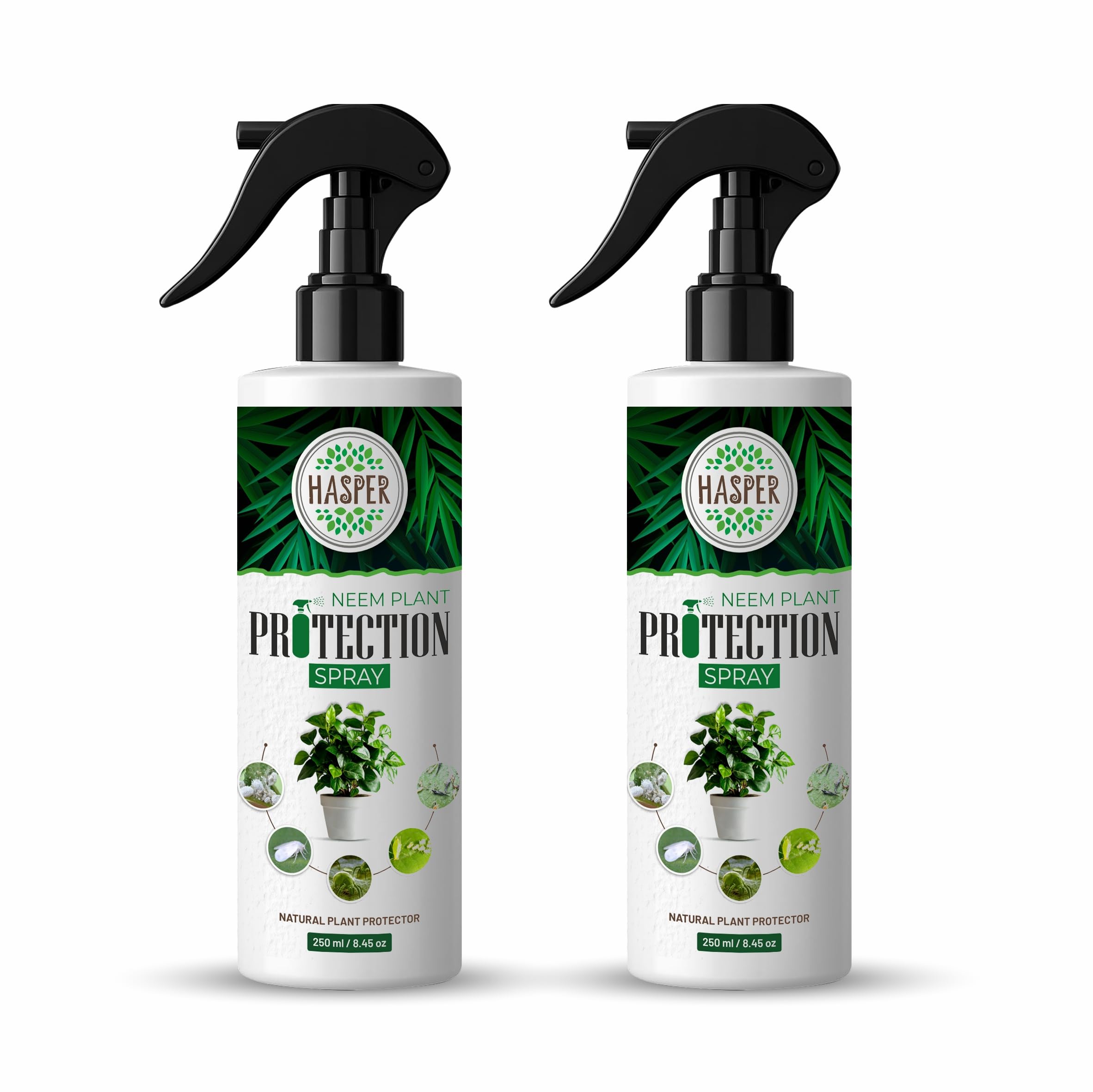 Hasper Plant Guard – Ready to Use (250 ml x 2) Pure Cold-Pressed Water-Soluble Neem Oil Spray for Indoor & Outdoor Gardening, Removes Aphids, Mealybugs, Spider Mites, Fungus, Mildew & Other Pests – Organic Herbal Insect Repellent for Healthy Plant Growth – Ideal for Home, Gardens & Flowers