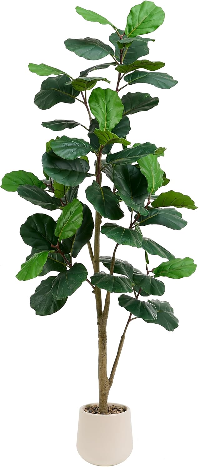 Synthetic Fiddle Leaf Fig Tree, 7FT Tall Fake Ficus Lyrata Faux Tree … Synthetic Fiddle Leaf Fig Tree, 7FT Tall Fake Ficus Lyrata Faux Tree …