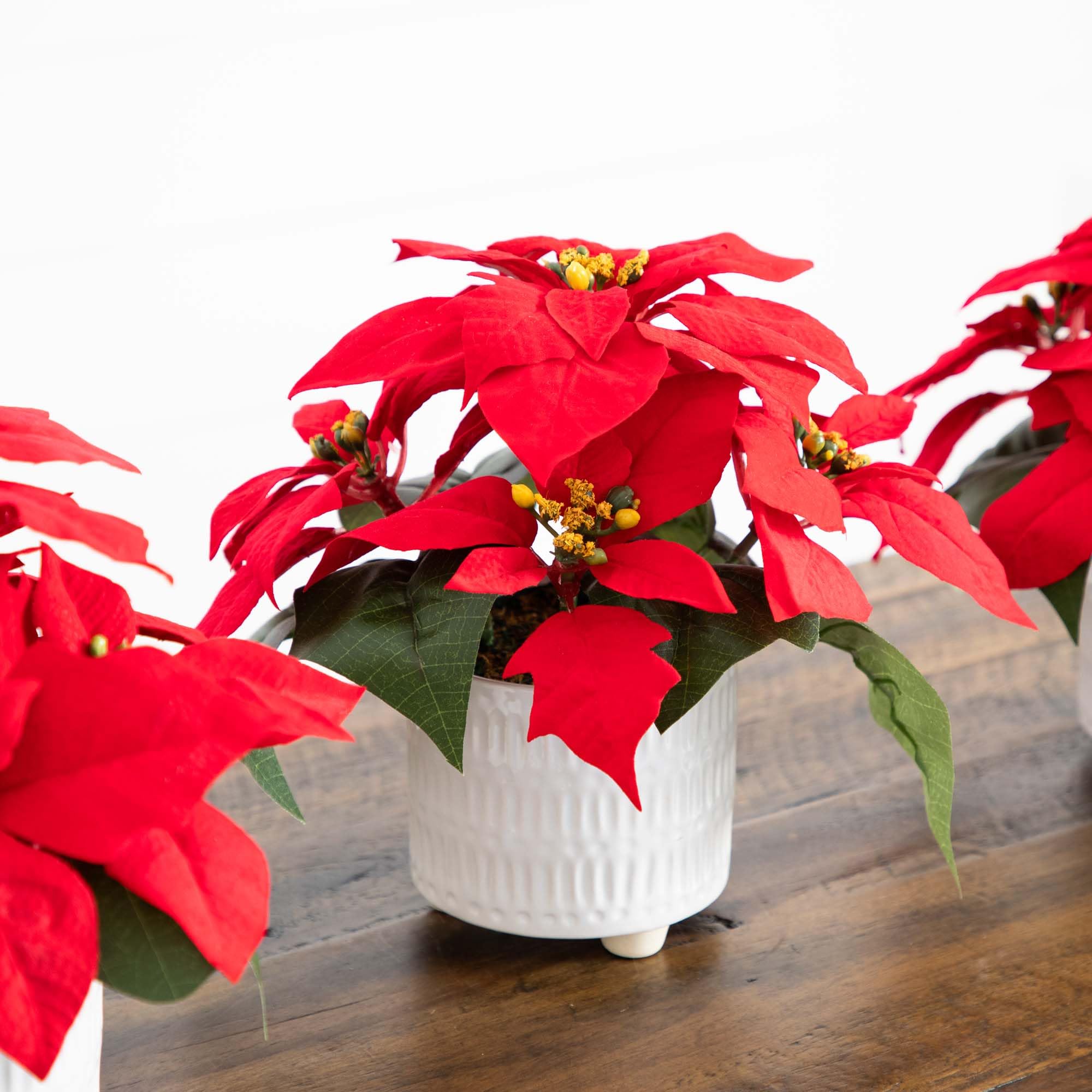 Nearly Natural Lot de 3 Arrangements de Poinsettia artificiels dans des Pots en céramique Blanche 22,9 cm