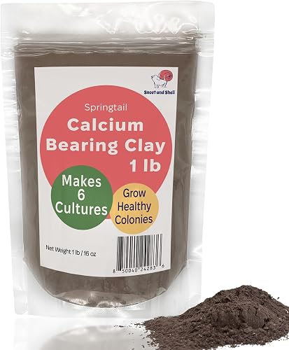 Snout and Shell Springtail Calcium Bearing Clay - 1 lb | Ideal for Culturing Springtails, Reptile and Amphibian Terrariums, and Natural Habitat Cleanup Crew