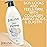 Jergens Skin Firming Body Lotion for Dry to Extra Dry Skin, Skin Tightening Cream with Collagen and Elastin, Dermatologist Tested, Hydralucence Blend Formula, 16.8 Oz, Pack of 3
