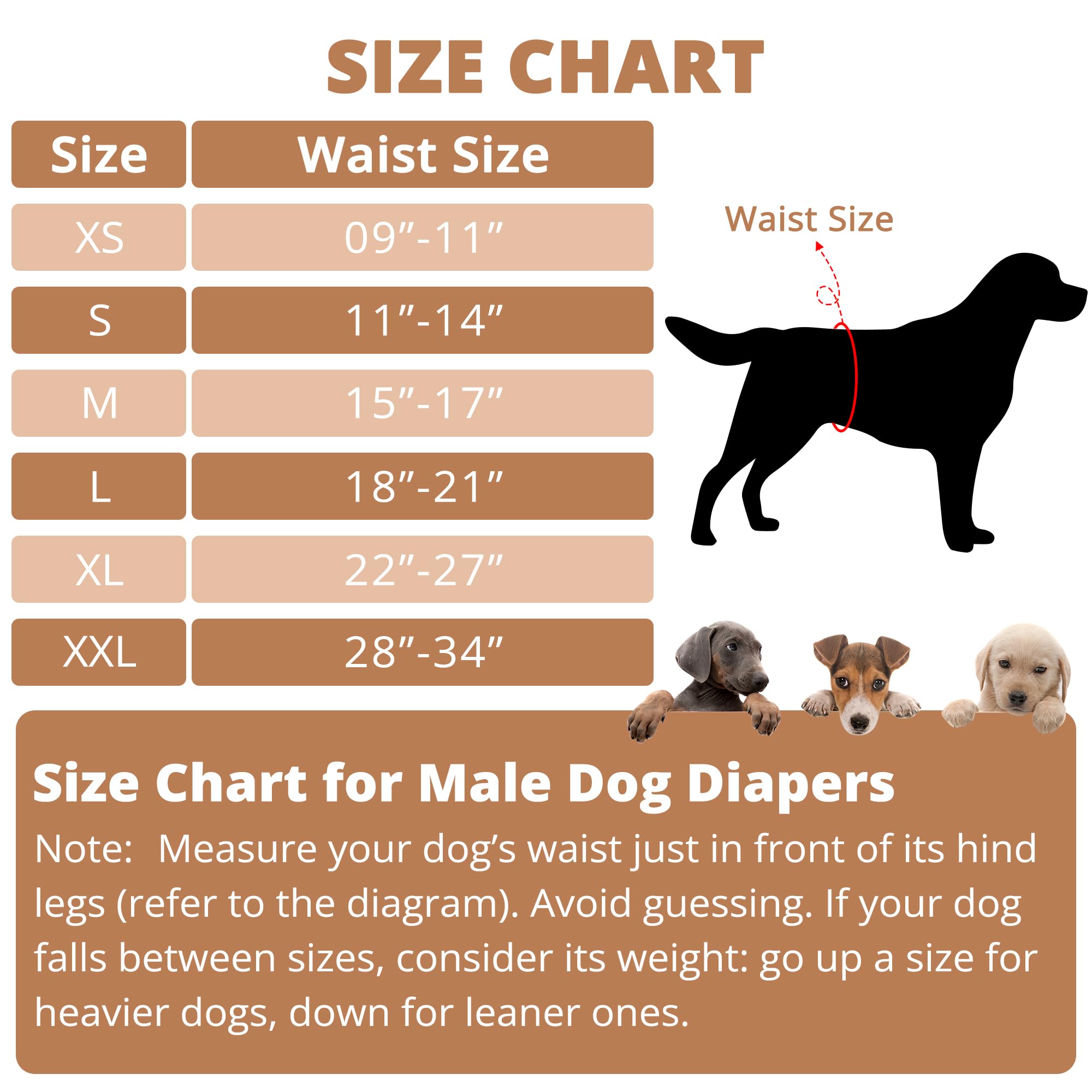 Paw Legend Waschbare Hundewindeln, Bauchbänder für männliche Hunde, Wiederverwendbare Windeln für Welpen und Hunde, 4 Stück, Größe XL