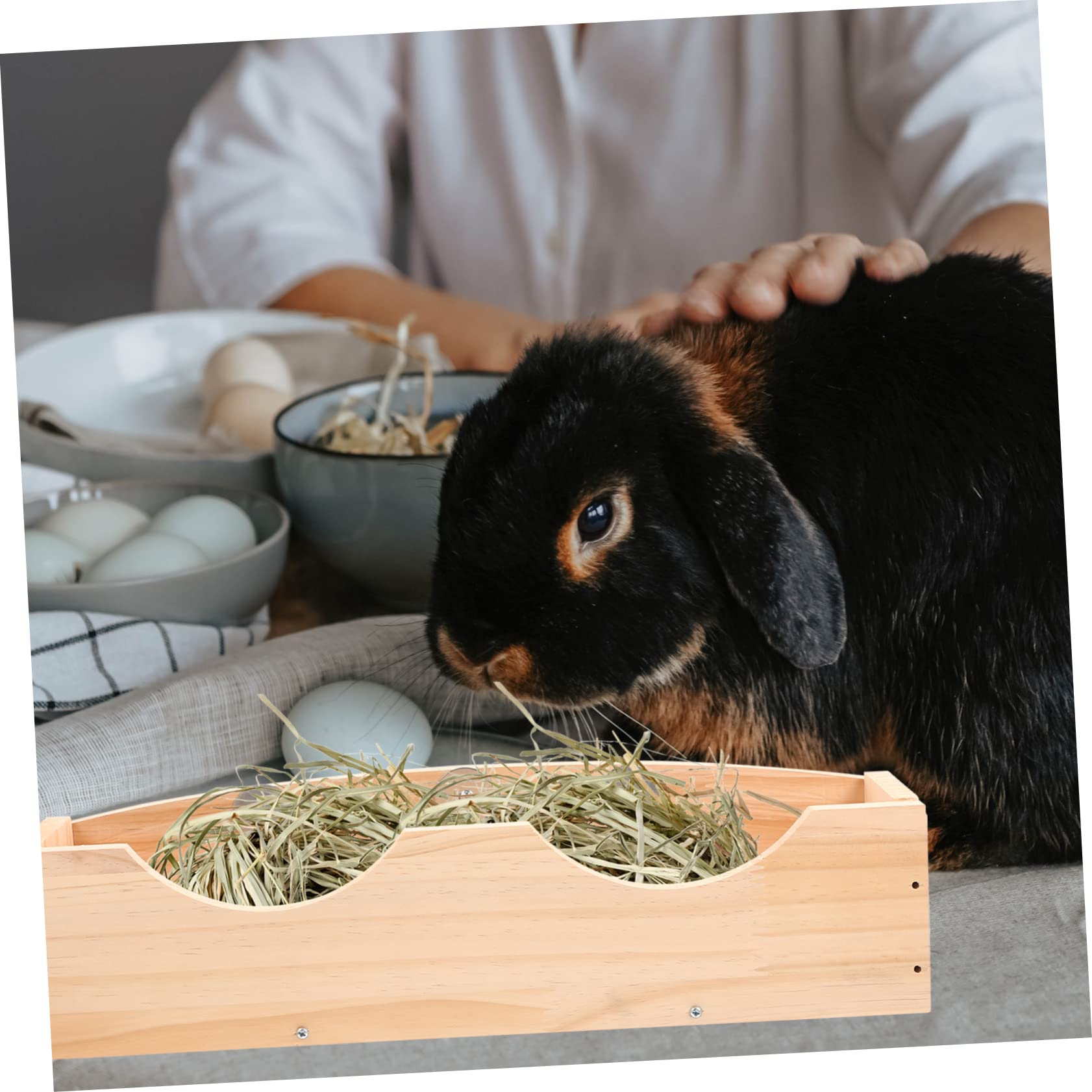 FOMIYES Mangiatoia Per Conigli Alimentatore Per Mangiatoia Per Cavia Criceti e Chinchilla Facile Installare e Resistente Per