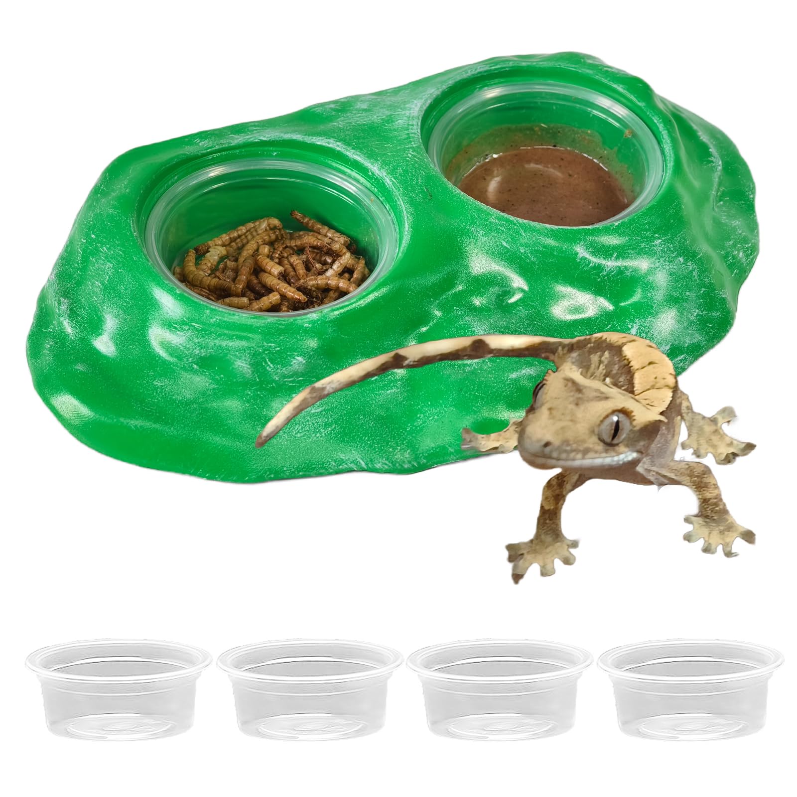Mangeoire magnétique pour reptiles avec 4 tasses vertes Tfwadmx