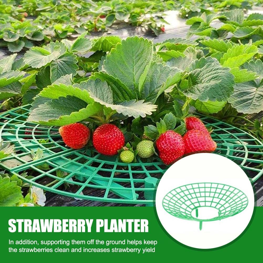 Lot De 10 Supports Pour Fraisiers Et Fruits – Protégez Vos Récoltes Facilement !