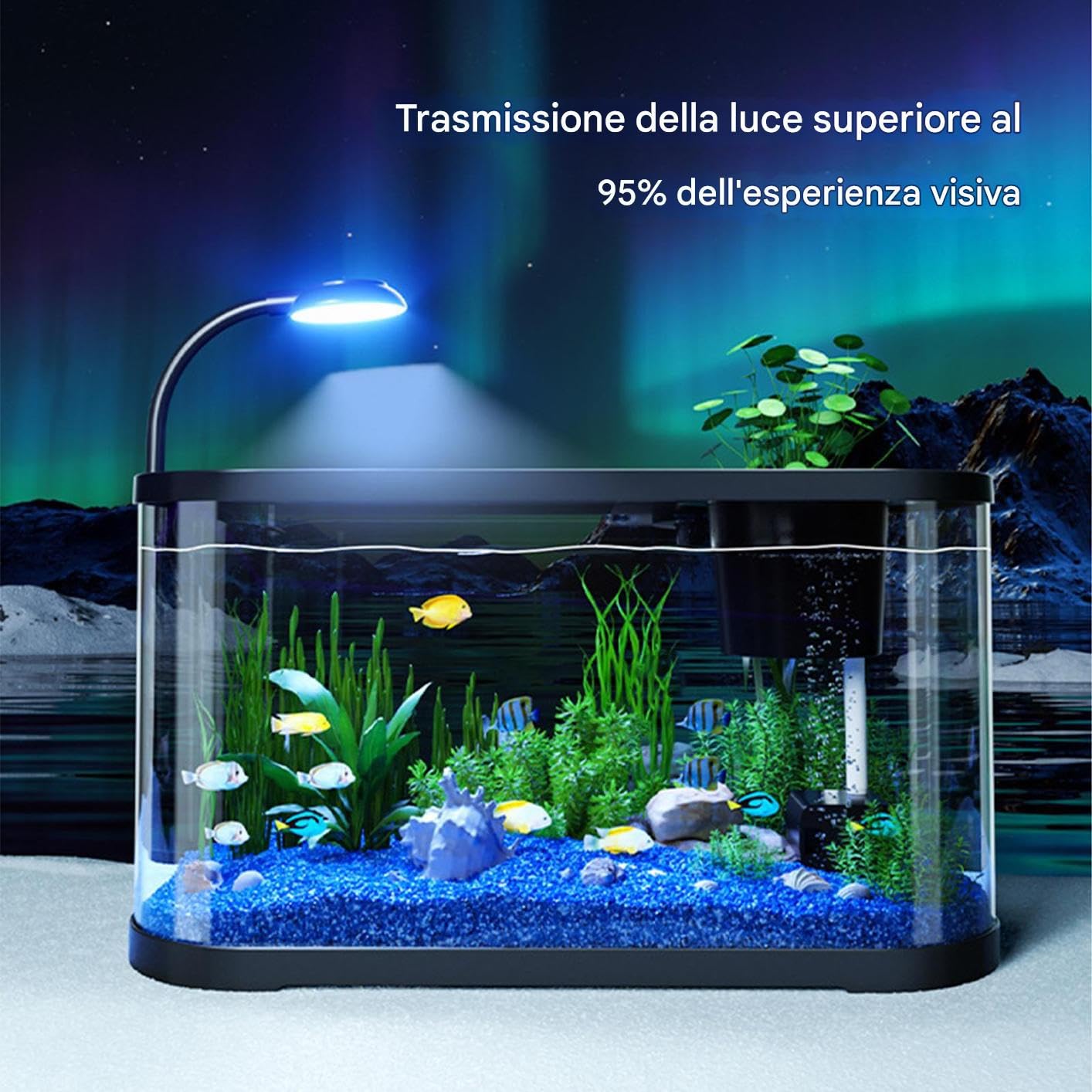 Kit Acquario Generico | Acquario Per Principianti - Vaso Decorativo Per Betta E Tartaruga