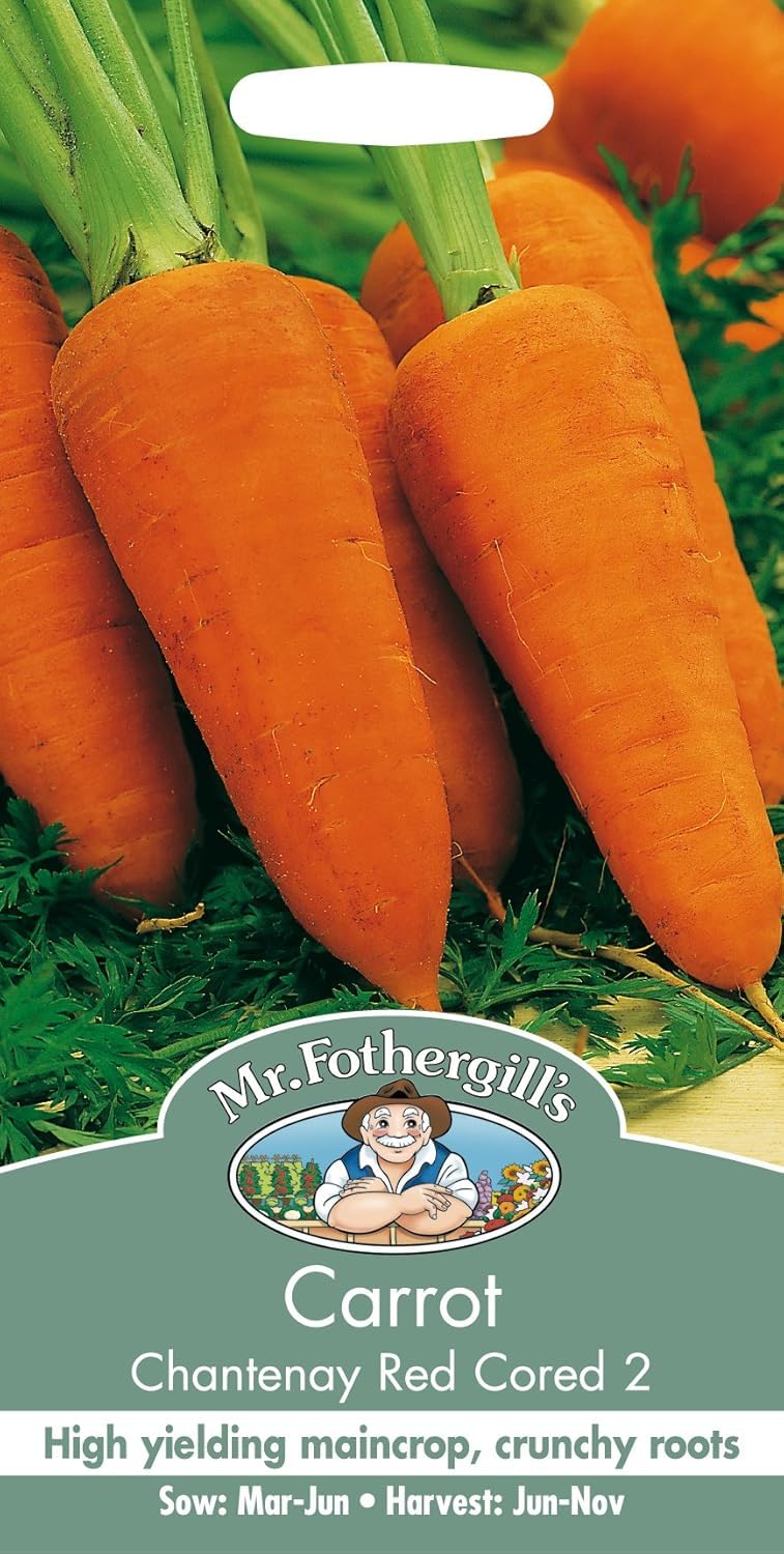 Mr Fothergill's 23203 Vegetable Seeds, Carrot Chantenay Red Cored 2