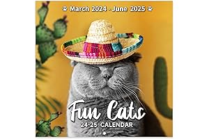 2024-2025 Wall Calendar: Feline Fun for Cat Lovers