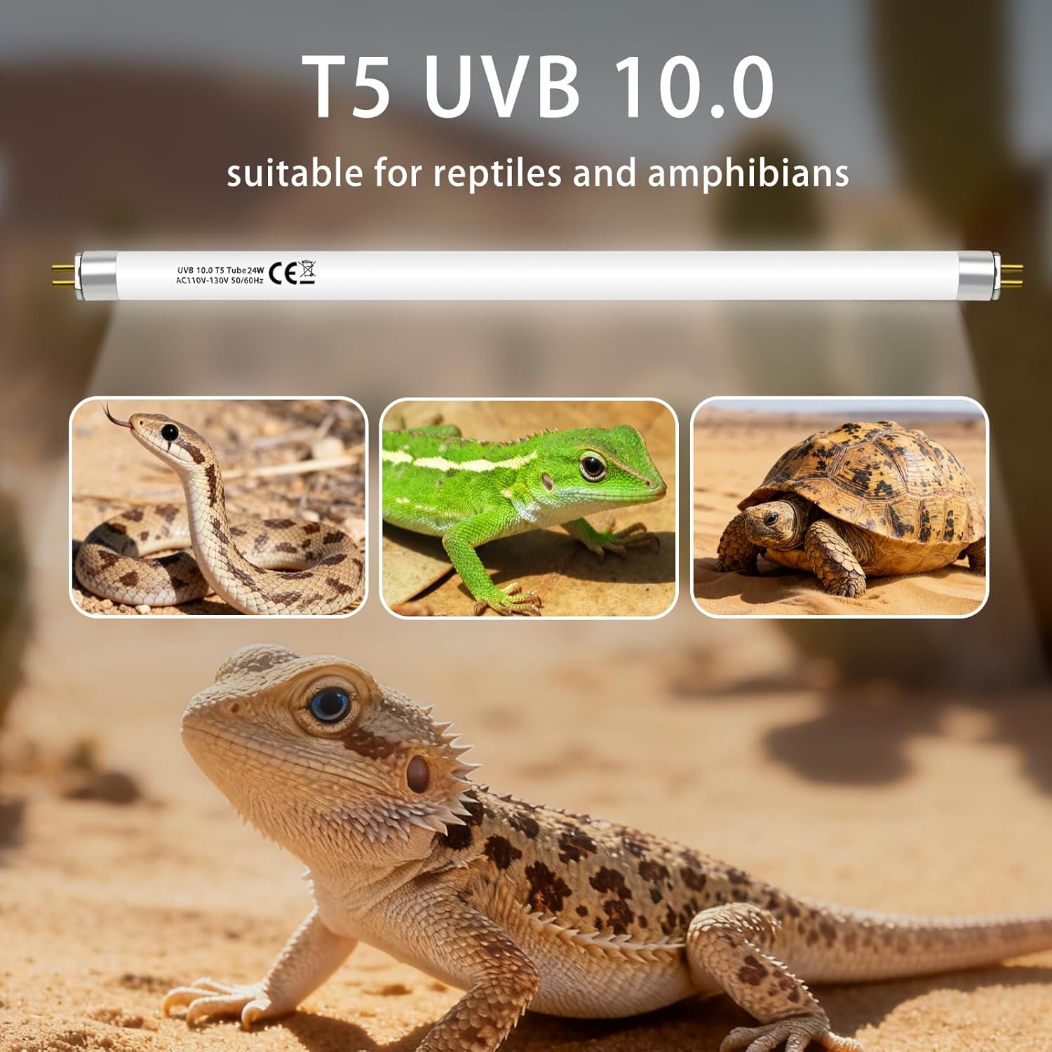 T5 10.0 UVB Light Bulb for Reptiles, 24W HO UVB Reptile Lamp Bulb, 2 Pack 22 Inch UVA UVB Fluorescent Lamp Tube for Bearded Dragon Leopard Gecko Tortoise Lizards