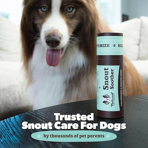 Miniatura 5 de Natural Dog Company Snout Chupete Travel Stick 0.15 oz – Bálsamo para nariz de perro totalmente natural para hocicos secos y agrietados – Bálsamo