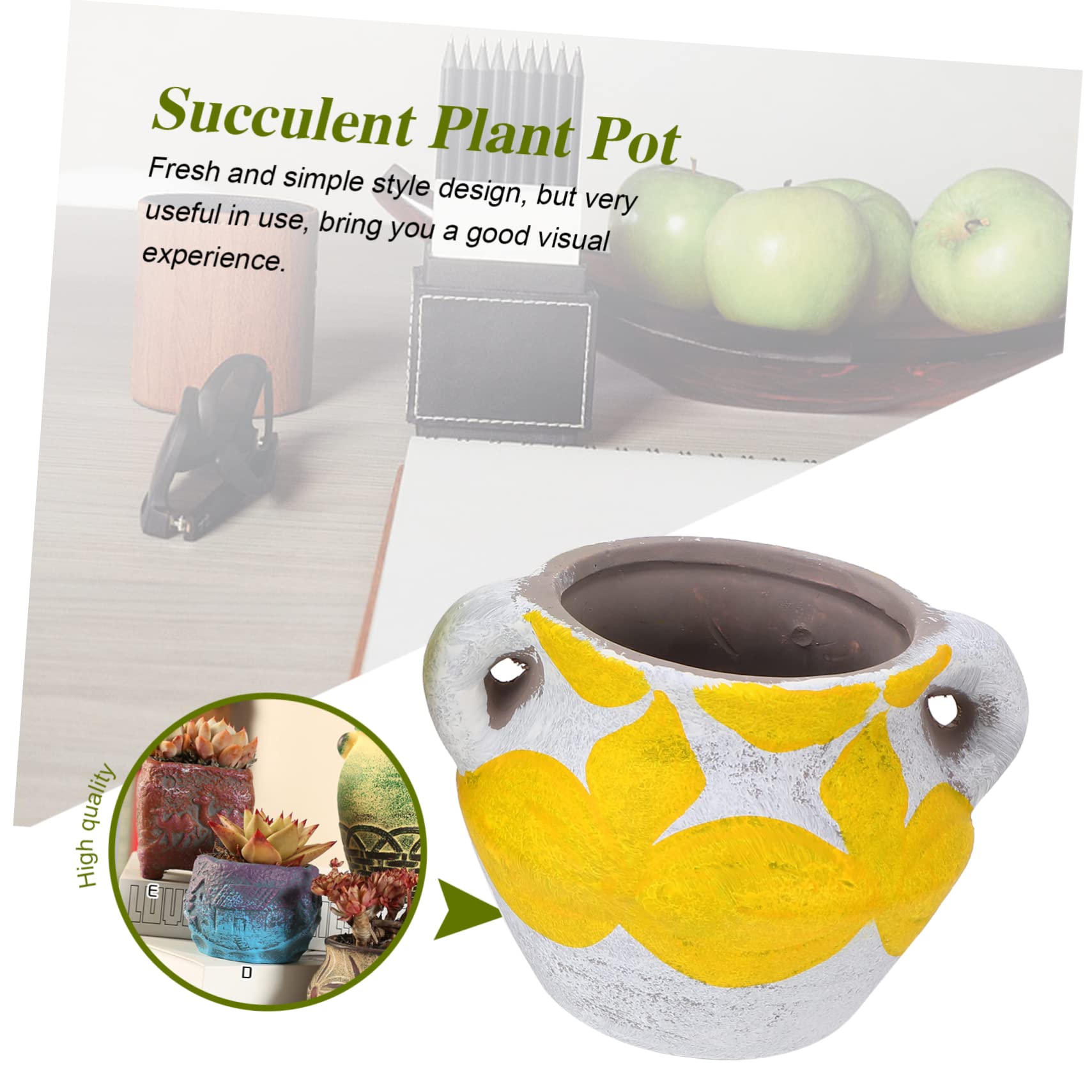 ibasenice 5pezzi Vasi per Piante Grasse in Ceramica Vasi da Fiori Piccoli per Bonsai Fioriera in Ceramica per Balcone Giardinaggio Domestico Decorazioni per Casa