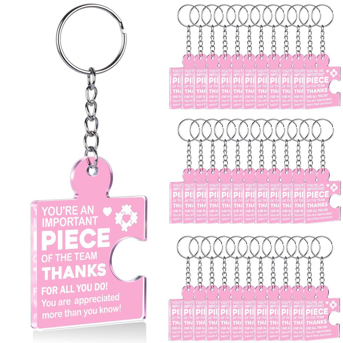 Team Appreciation Gifts Bulk Thank You Keychains for Coworkers