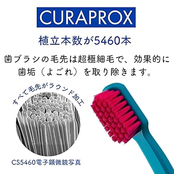 2セット ピンク パープル Amazon | 箸 スプーン コンビセット 2点 ケース付き 箸スプーン